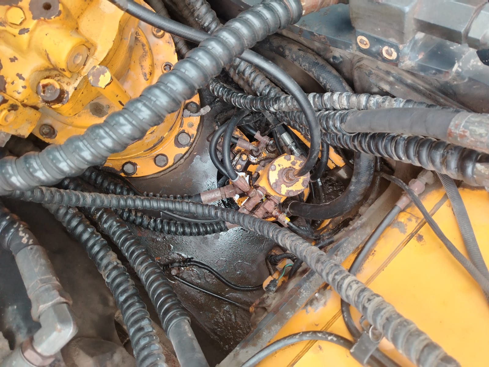 Xidmətlər və biznes