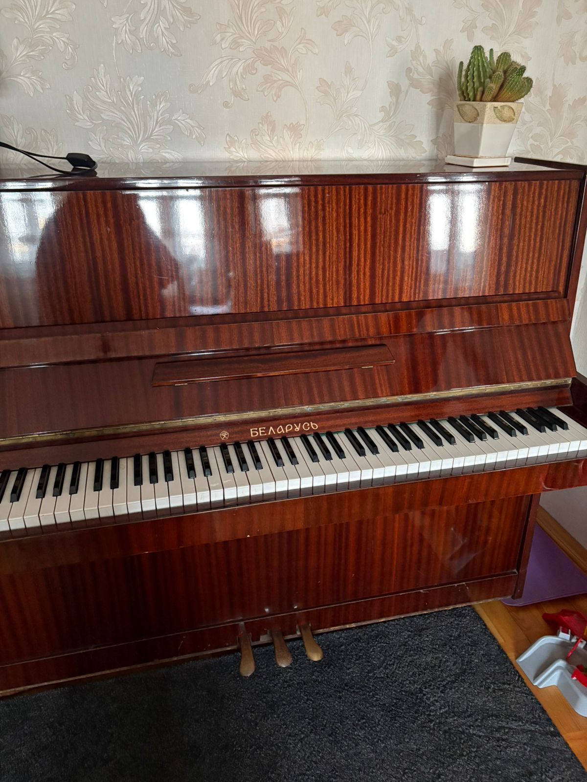 Hobbi, idman və asudə